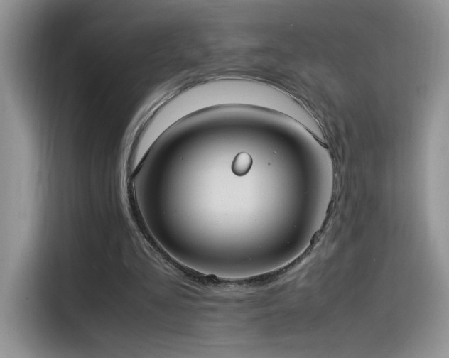 X0000115560293200911061558