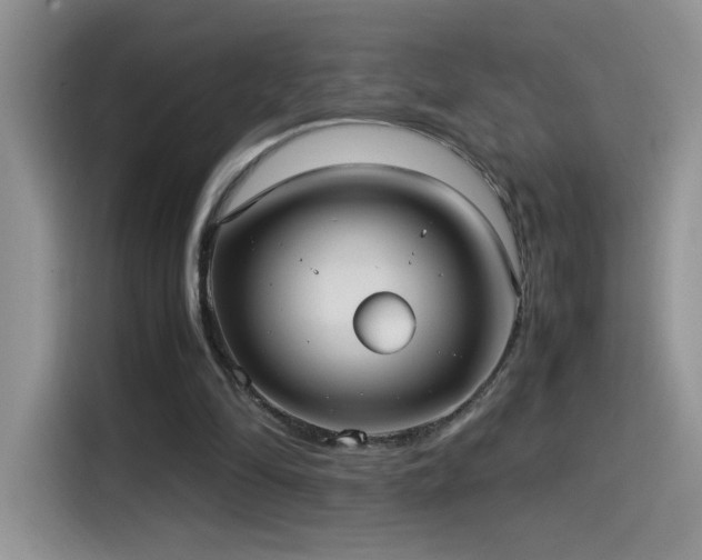 X0000115560294200911061558