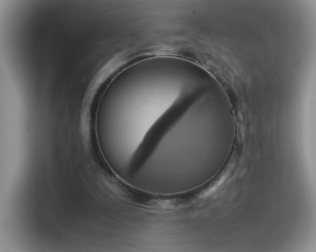 X0000115560295200911061558