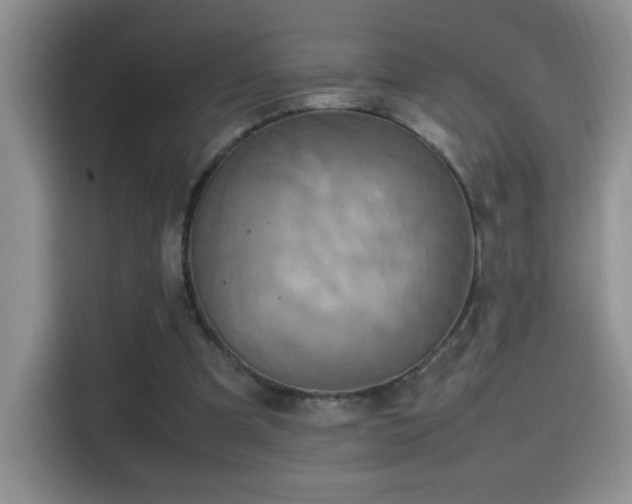 X0000115560297200911061558
