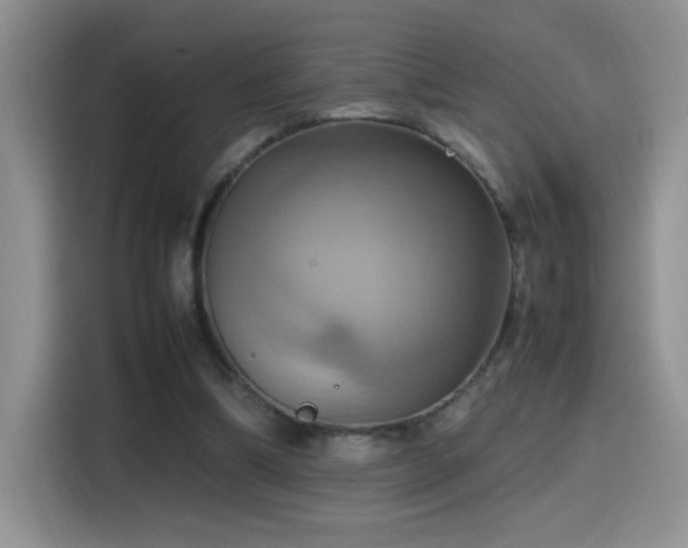 X0000115560298200911061558