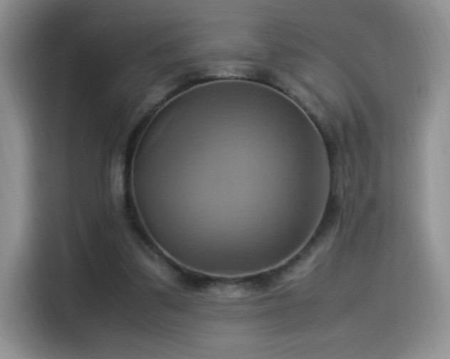 X0000115560299200911061558