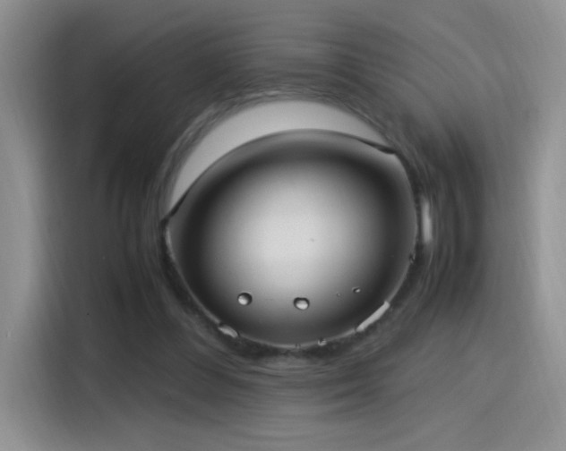 X0000115560300200911061558
