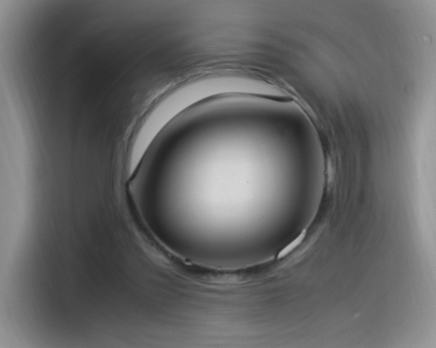 X0000115560301200911061558