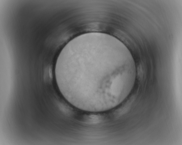 X0000115560302200911061558