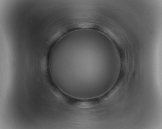 X0000115560303200911061558