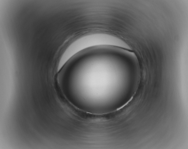 X0000115560304200911061558