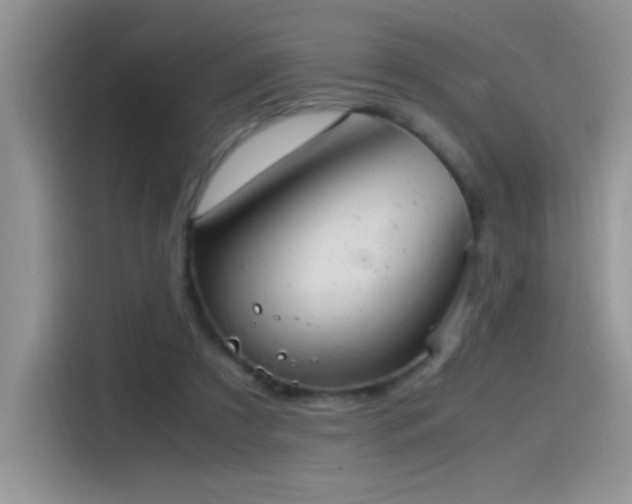X0000115560305200911061558