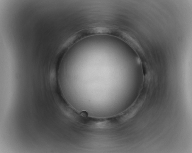 X0000115560306200911061558