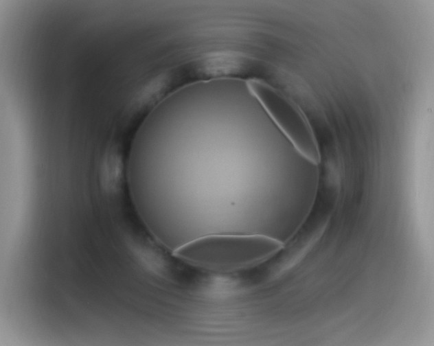 X0000115560308200911061558