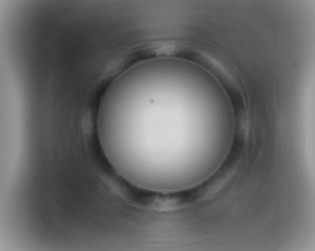 X0000115560311200911061558