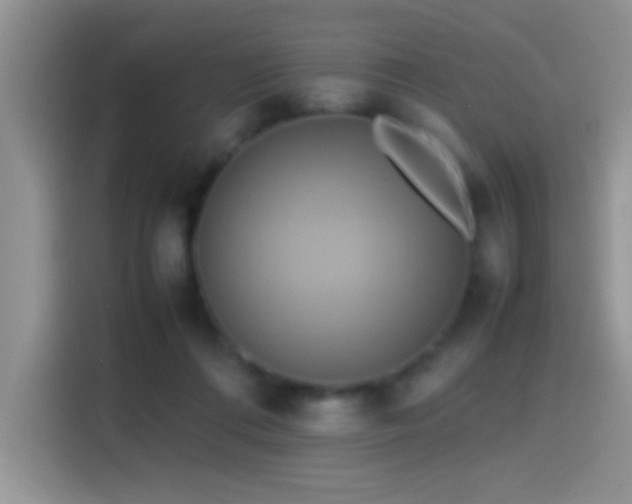 X0000115560312200911061558
