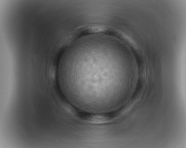 X0000115560315200911061558