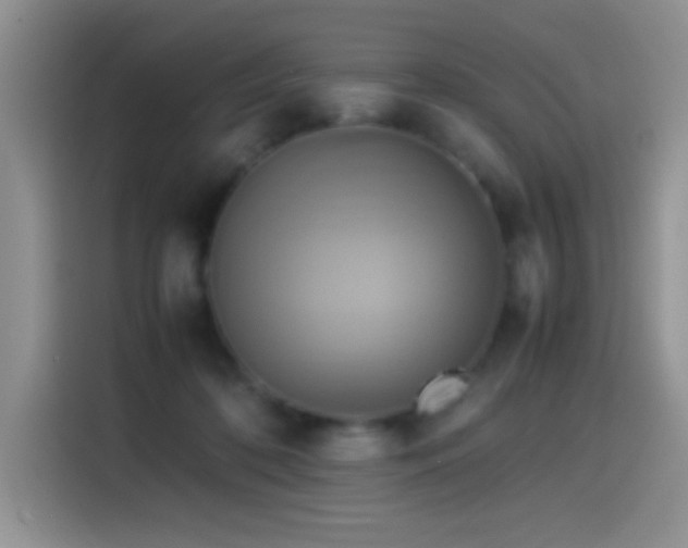 X0000115560316200911061558