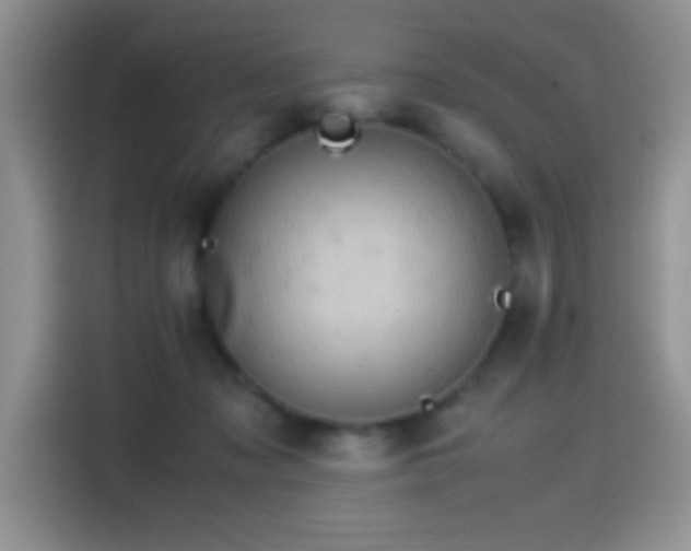 X0000115560317200911061558