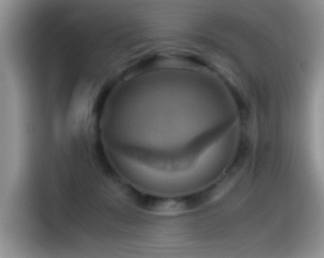 X0000115560319200911061558