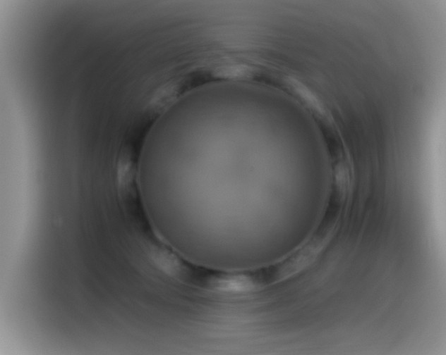 X0000115560322200911061558