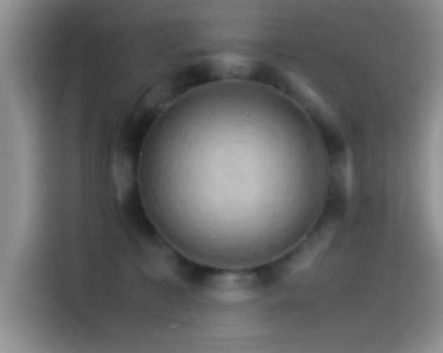 X0000115560323200911061558