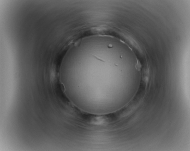 X0000115560324200911061558