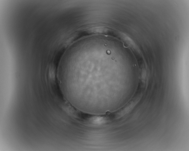 X0000115560326200911061558