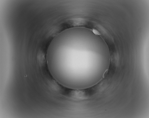 X0000115560327200911061558