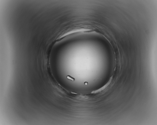 X0000115560328200911061558