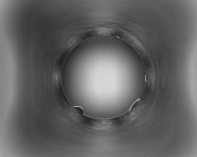 X0000115560329200911061558