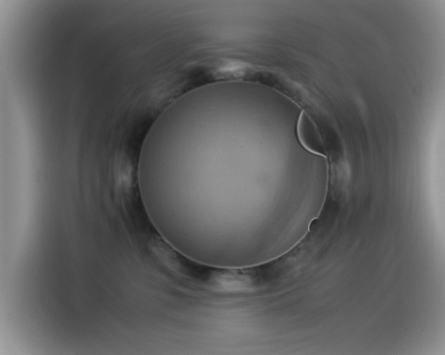X0000115560331200911061558