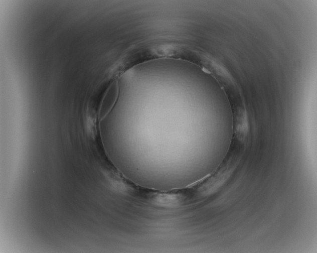 X0000115560332200911061558
