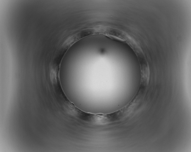 X0000115560333200911061558