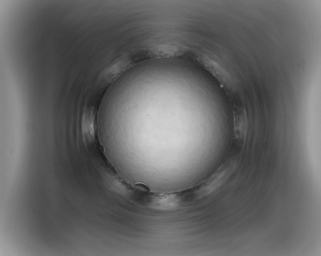 X0000115560334200911061558