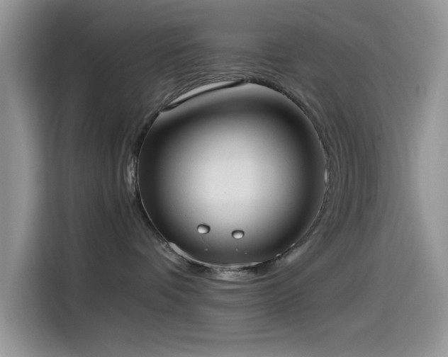 X0000115560336200911061558