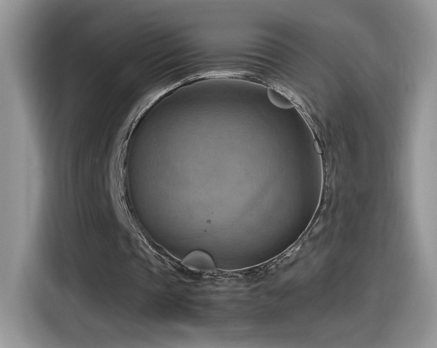 X0000115560337200911061557