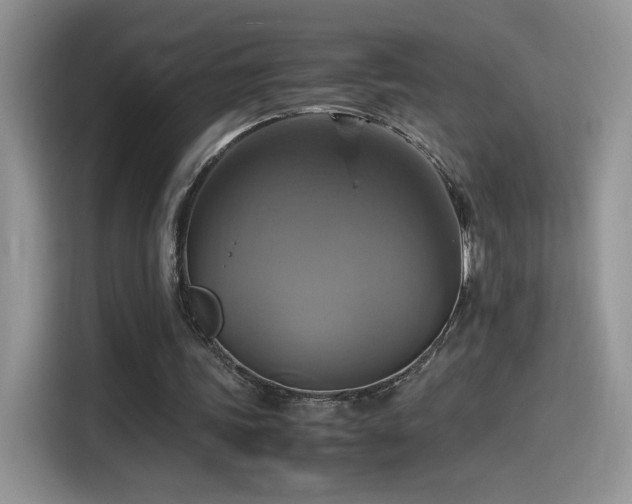 X0000115560339200911061557