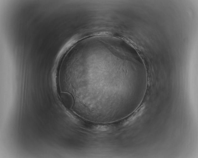 X0000115560341200911061557