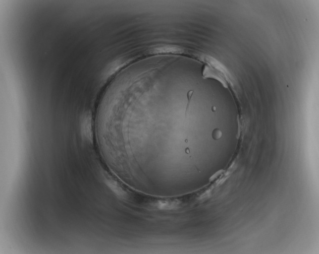 X0000115560345200911061557