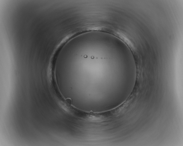 X0000115560346200911061557