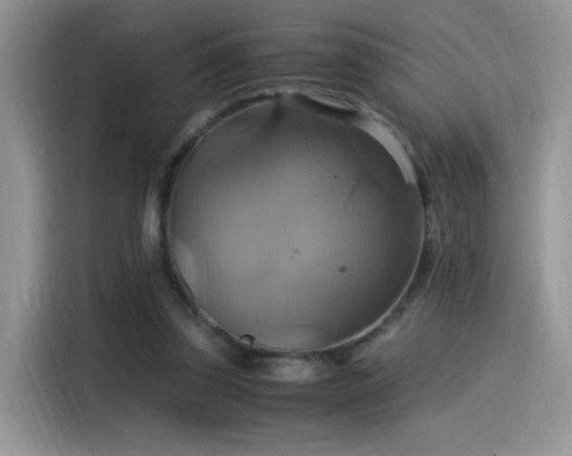 X0000115560347200911061557