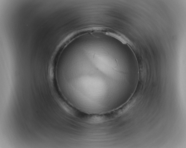 X0000115560350200911061557