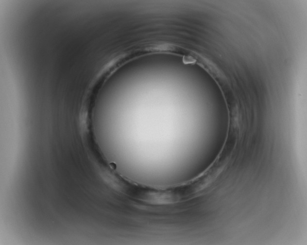 X0000115560351200911061557