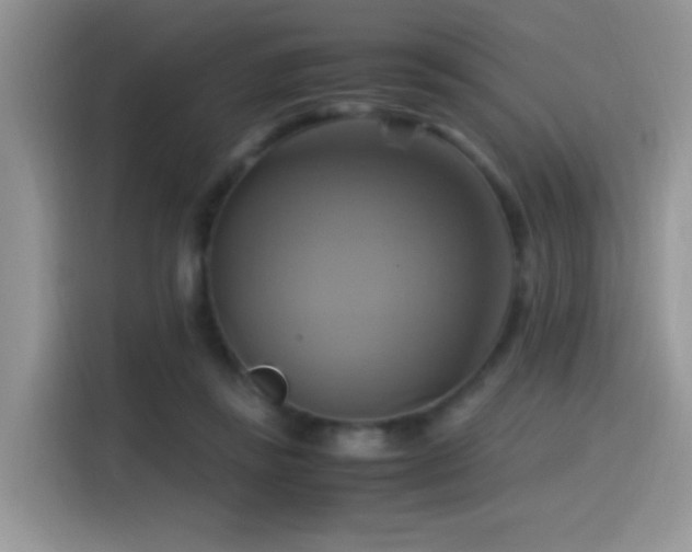 X0000115560355200911061557