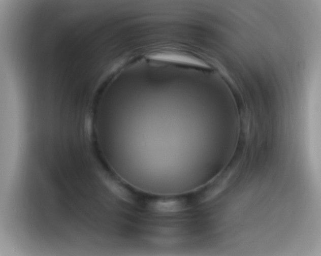 X0000115560357200911061558