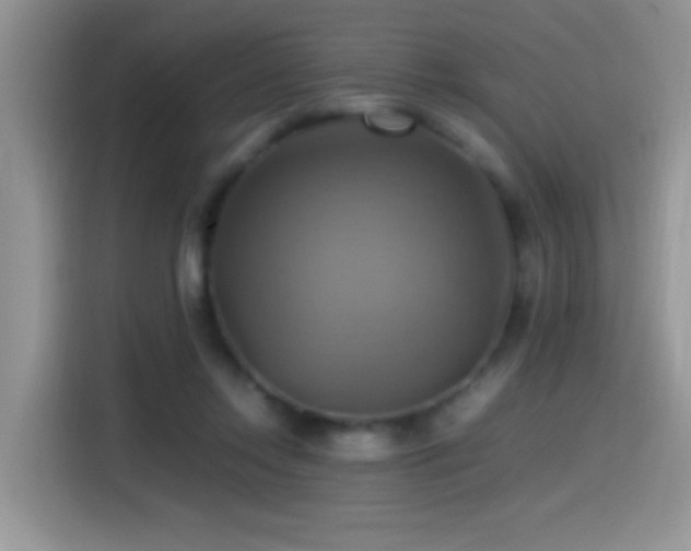 X0000115560358200911061558