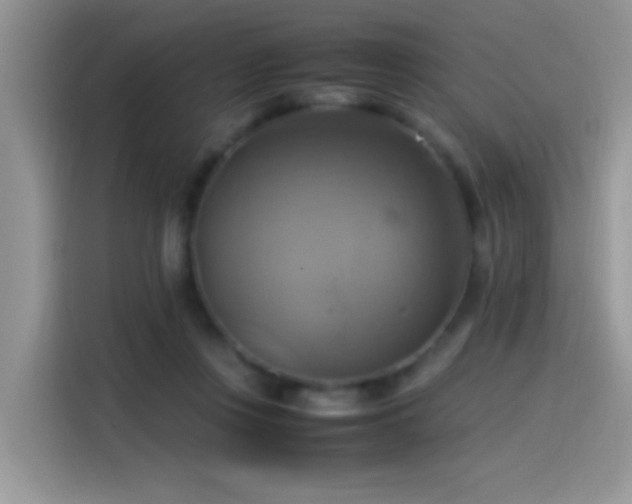 X0000115560359200911061558