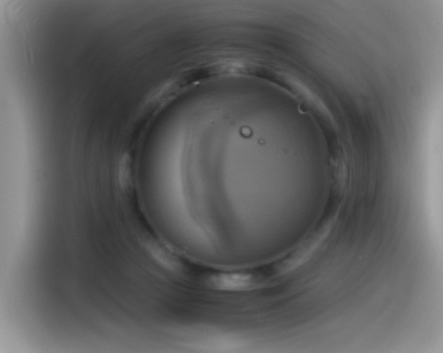 X0000115560361200911061558