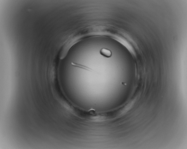 X0000115560362200911061558