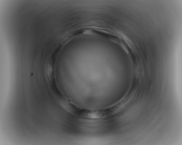 X0000115560365200911061558