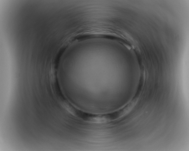 X0000115560366200911061558