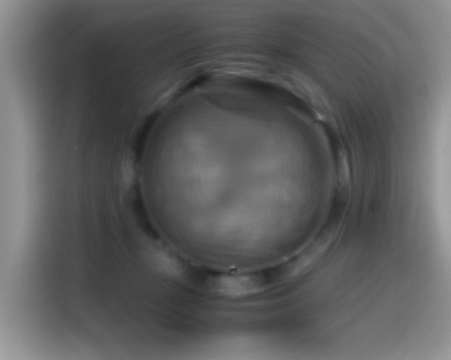 X0000115560367200911061558