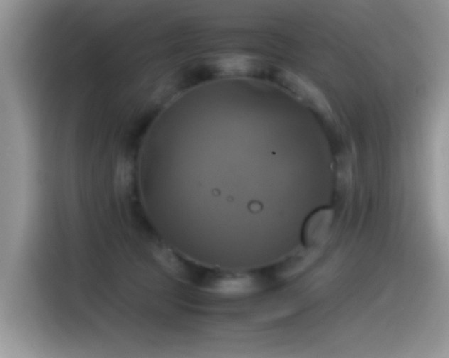 X0000115560369200911061558